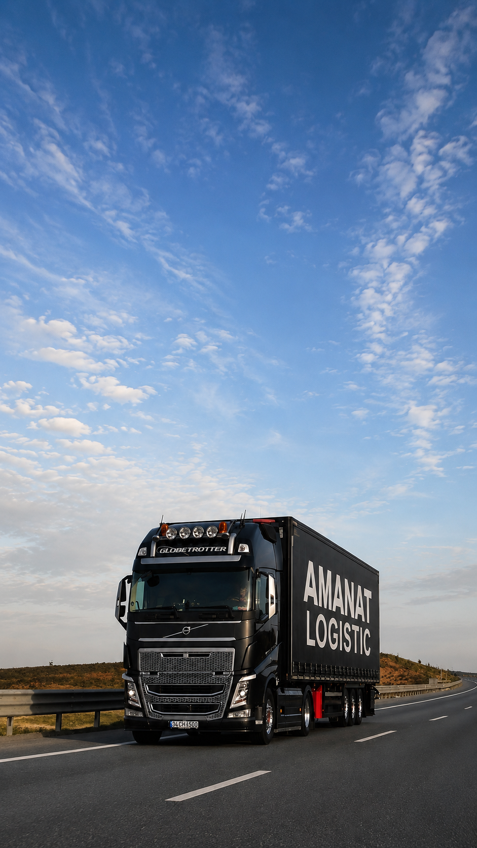 AMANAT Logistic
